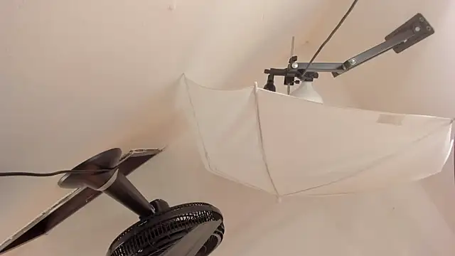 EmilyHanks_ webcam