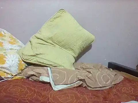 mislover webcam