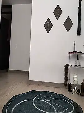 Fleurmeyer79 webcam
