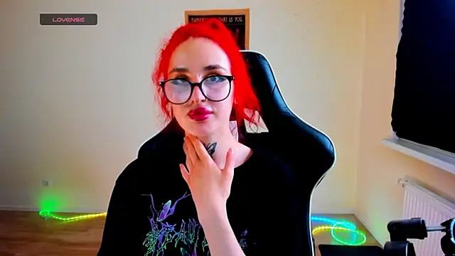 your_tora webcam