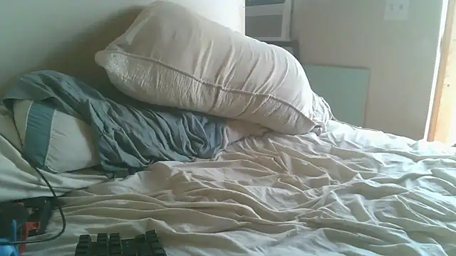 dandonn webcam