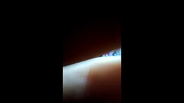 Lyndasilk webcam