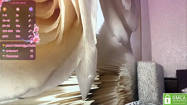 Kiaicatie webcam