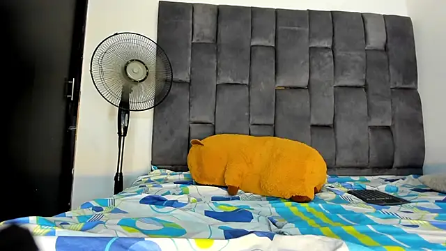 brian_smitth webcam