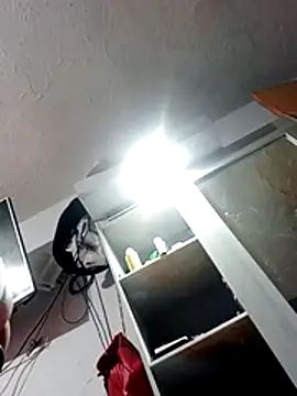 transreyna webcam