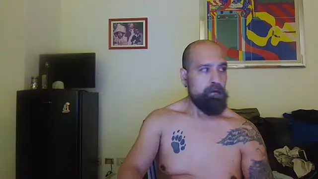 AMIRDIB2025 webcam