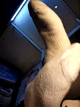 bellapaty webcam