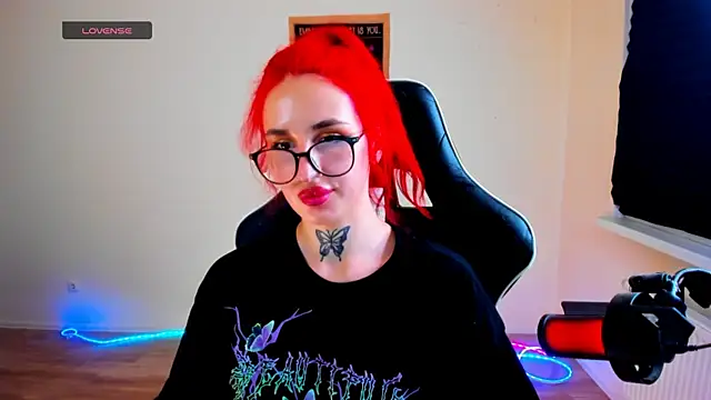 your_tora webcam