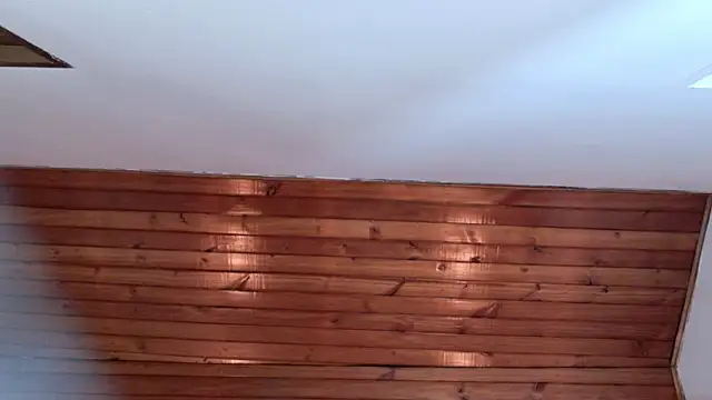 azul_veraa webcam