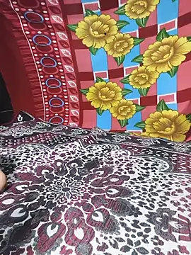 PRIYAGOYAL webcam