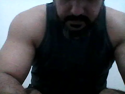 stallony webcam