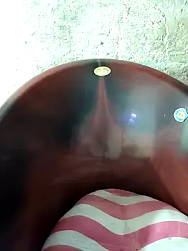19SRIDEVITELUGU webcam