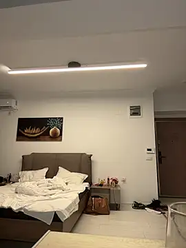 KimArts webcam