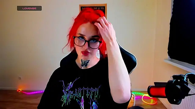 your_tora webcam
