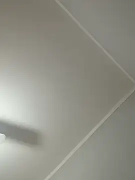 RaphinhaSanches webcam
