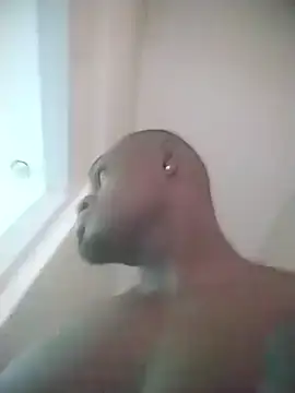 laperson webcam