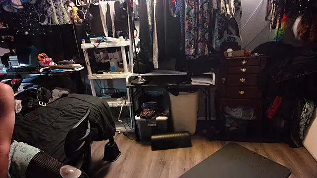 CyberStallion webcam