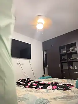 Lei-la webcam
