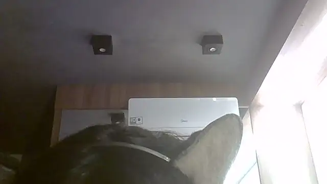 SkinnyKitten webcam