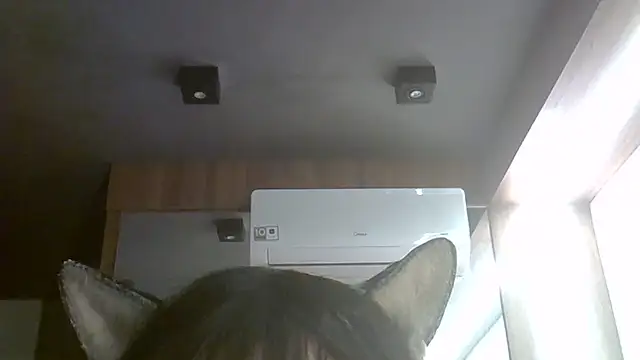 SkinnyKitten webcam