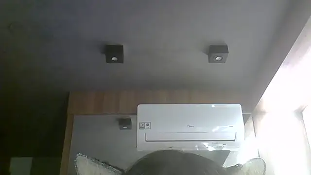 SkinnyKitten webcam