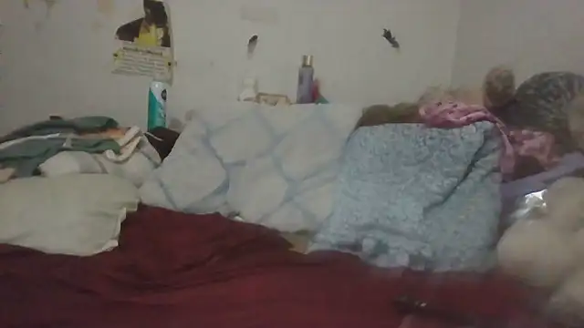paradisejas webcam