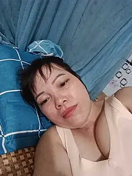 Sana-vn webcam