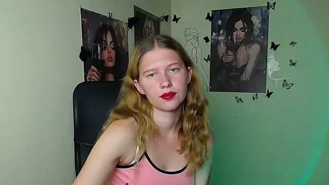 StellaCRL webcam