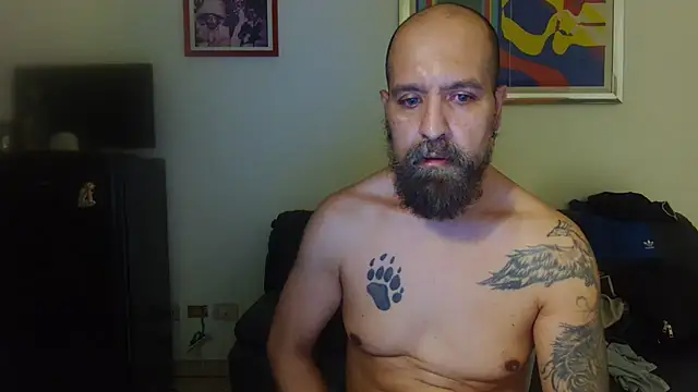 AMIRDIB2025 webcam