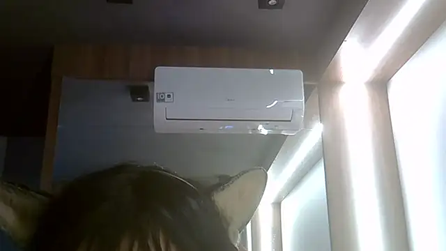 SkinnyKitten webcam