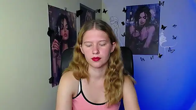 StellaCRL webcam