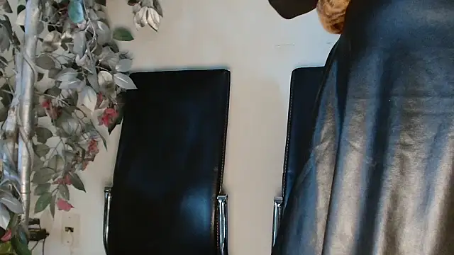 3littles webcam