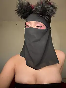 arabayla webcam