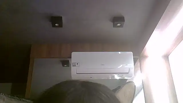 SkinnyKitten webcam