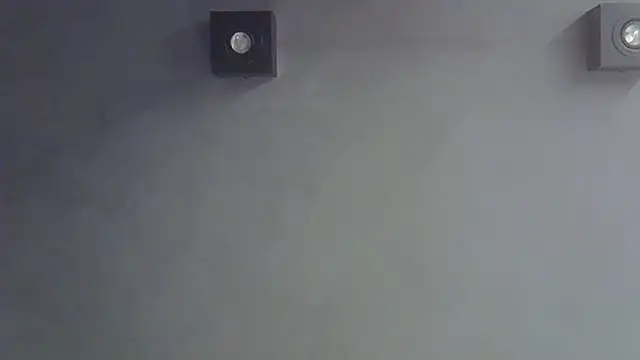 SkinnyKitten webcam