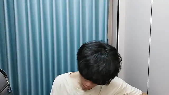 wssoo11 webcam