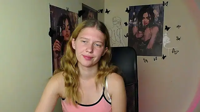 StellaCRL webcam