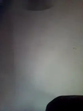 BuirdlyVerse webcam