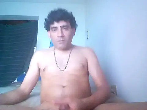 wa379 webcam