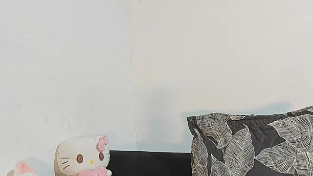 Eirlysx webcam