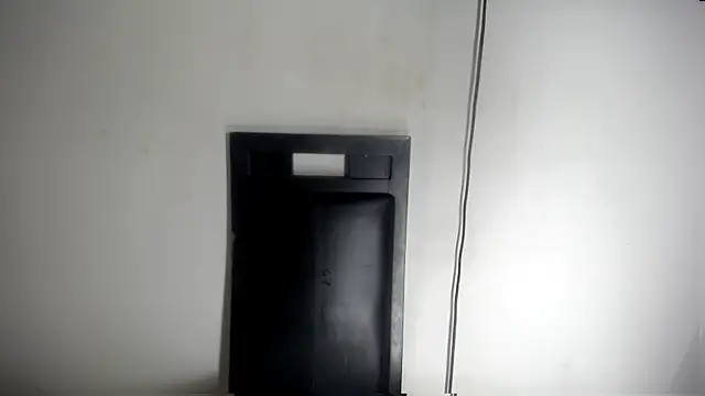 Fox_Loves webcam