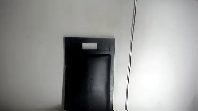 Fox_Loves webcam