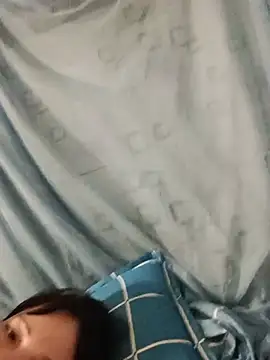 Sana-vn webcam