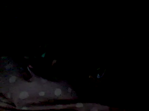 mariy_ webcam