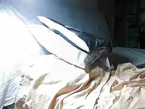VeneRed webcam