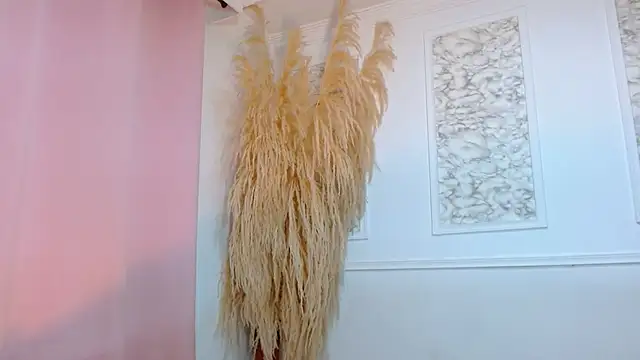 Danella_houston webcam