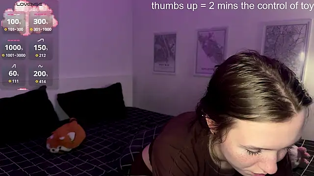 KayaNorth webcam