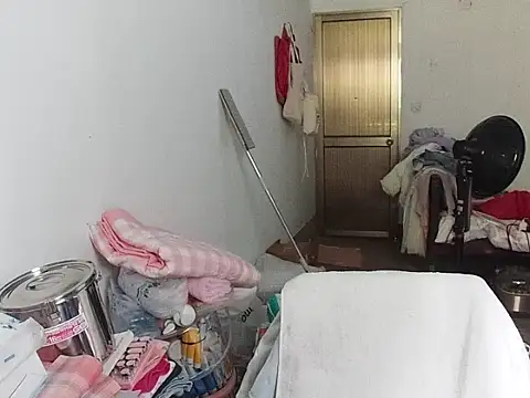 RebelAura webcam