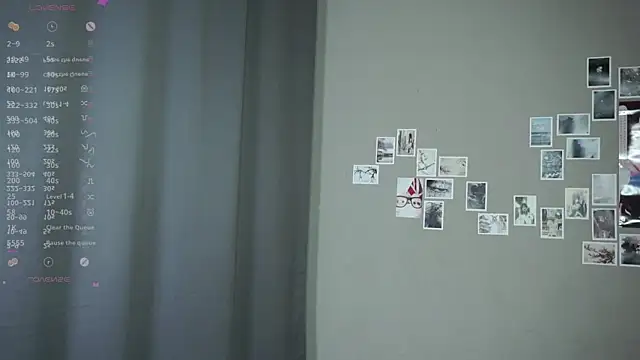 DellaLeck webcam