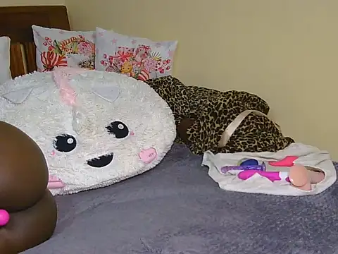 Fuliza3 webcam